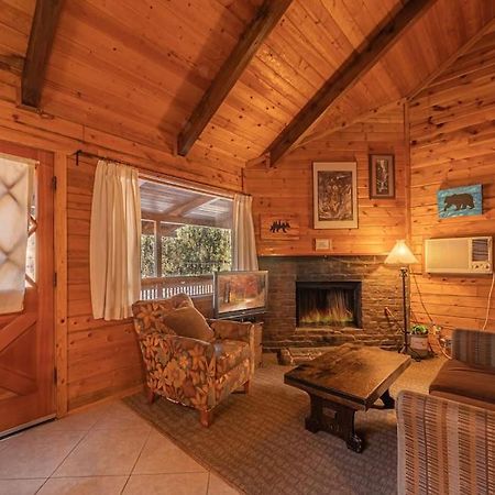 Forest Cabin 3 Bear'S Den بايسون المظهر الخارجي الصورة