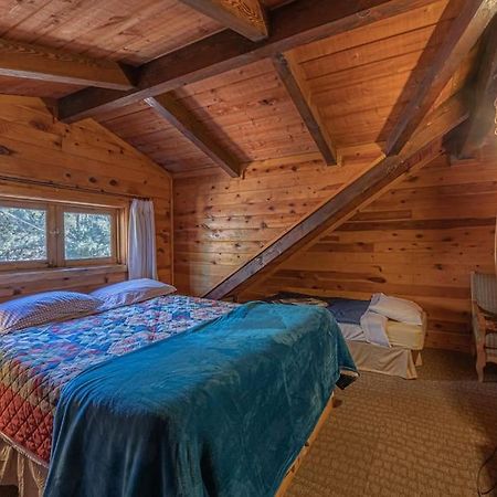 Forest Cabin 3 Bear'S Den بايسون المظهر الخارجي الصورة