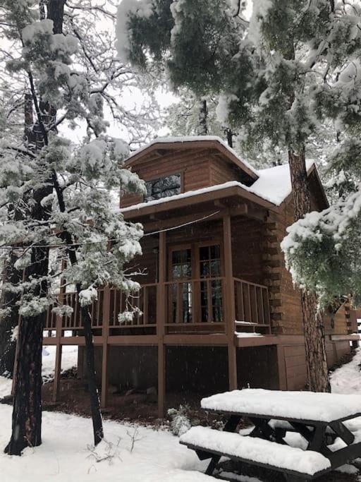 Forest Cabin 3 Bear'S Den بايسون المظهر الخارجي الصورة