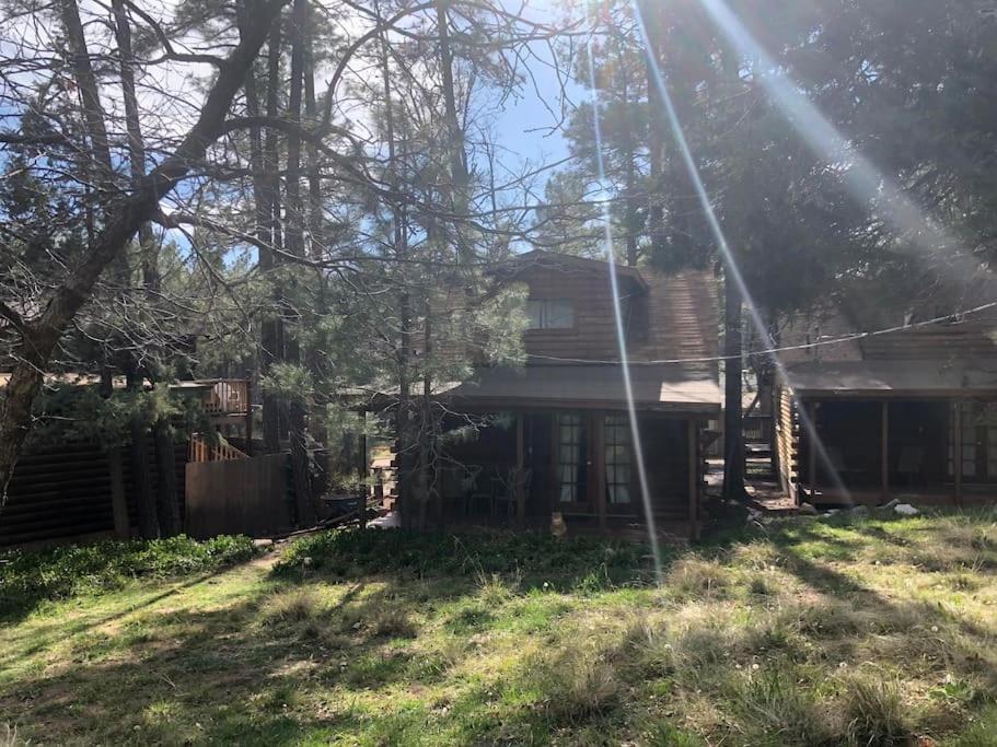Forest Cabin 3 Bear'S Den بايسون المظهر الخارجي الصورة