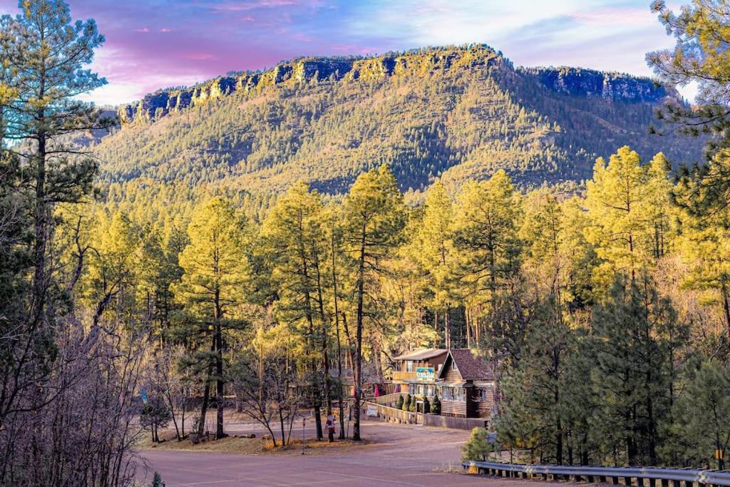 Forest Cabin 3 Bear'S Den بايسون المظهر الخارجي الصورة