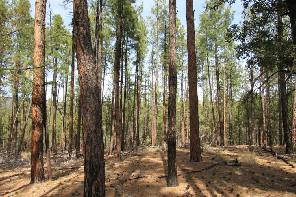 Forest Cabin 3 Bear'S Den بايسون المظهر الخارجي الصورة